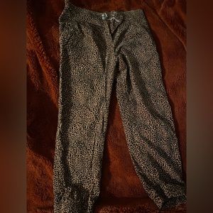 Cheetah joggers